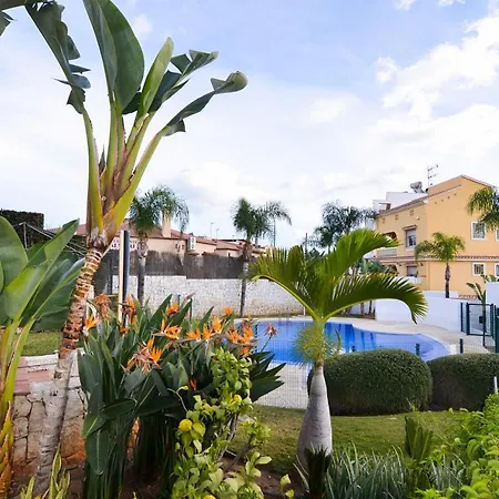 Wintowinrentals Townhouse, Roof Terraze & Pool